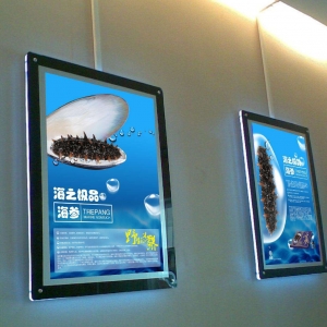 _(ti)õďV湫˾_(d)ĠI(yng)NĿ(bio)(_(ti)Vṩ(chung) I(yng)NQ